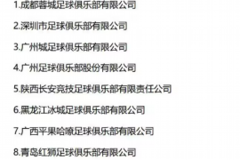 门源门源的要账公司在催收过程中的策略和技巧有哪些？